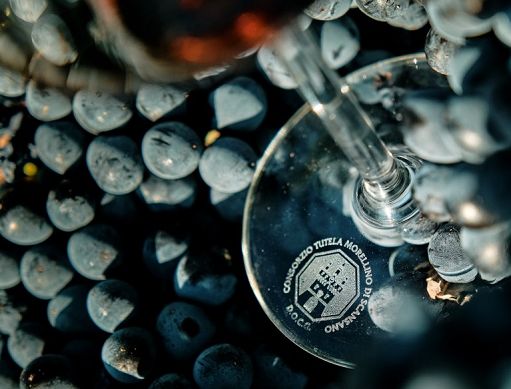 Consorzio Morellino Scansano: assemblea approva menzione “Superiore”