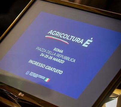 Fitto: difesa vuol dire stabilità, sicurezza e autonomia