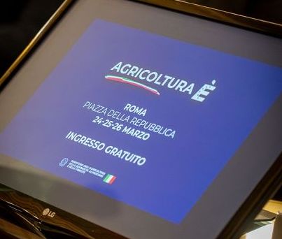 Agea: agricoltura deve produrre e ha bisogno di liquidità