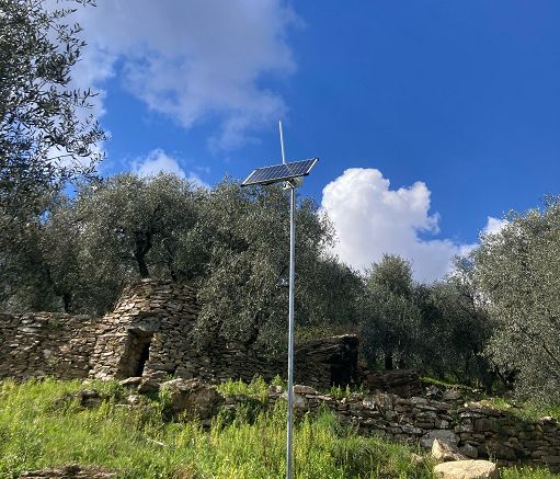 Da partenariato pubblico-privato sensori per olivicoltura 4.0