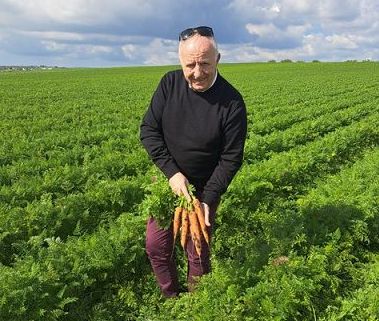 Carota Novella Ispica Igp punta ai 60.000 q. prodotto certificato