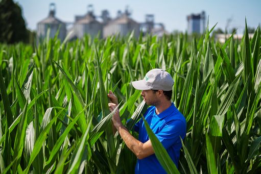MartinoRossi: una business unit per il controllo filiere agroalimentari