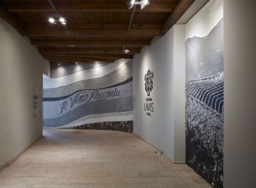 Vino, Cantina La-Vis presenta il nuovo progetto “Ritratti”