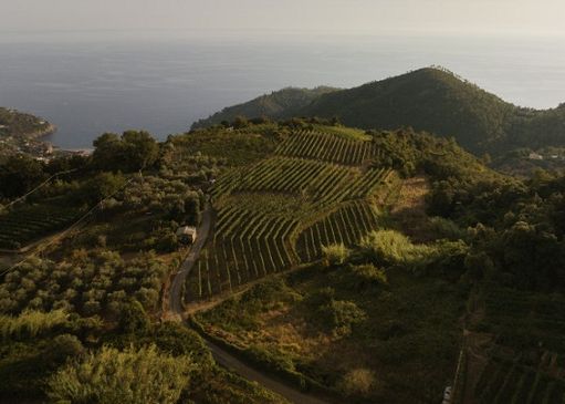 ”Zero Tolleranza per il Silenzio”: il Ruzzese di Ca’ du Ferrà si fa voce