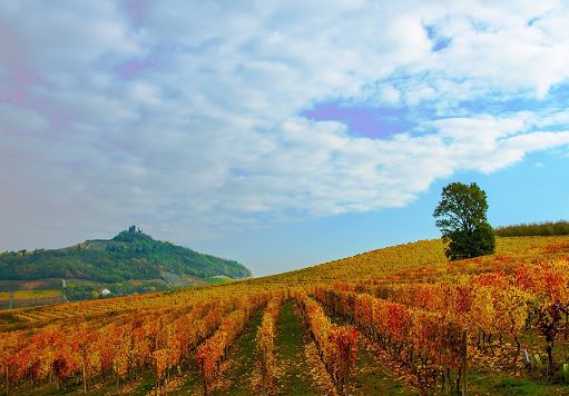 Consorzio Barbera Asti e Monferrato a Vinitaly tra export e nuove sfide