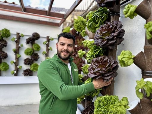 A Caserta la prima pizzeria con orto idroponico verticale