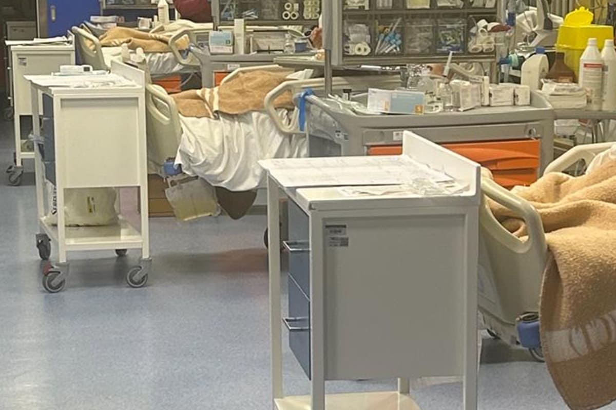 Allarme polmoniti e fuga dai vaccini, Distefano (Cannizzaro): “Numeri che non si vedevano da anni”