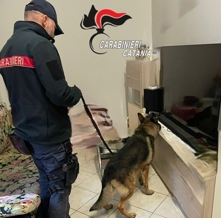 Droga in casa pronta a essere messa sul mercato: un arresto a Zafferana Etnea