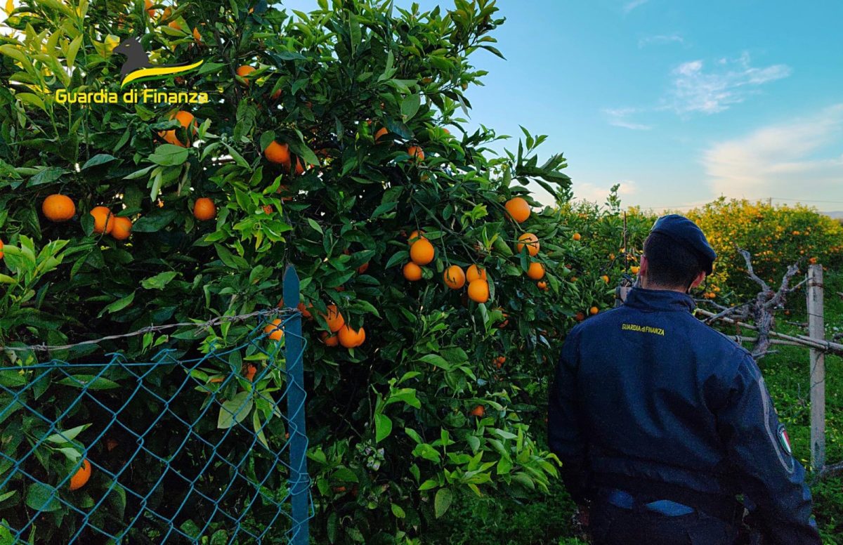 Capolarato e sfruttamento a Palagonia: un arresto