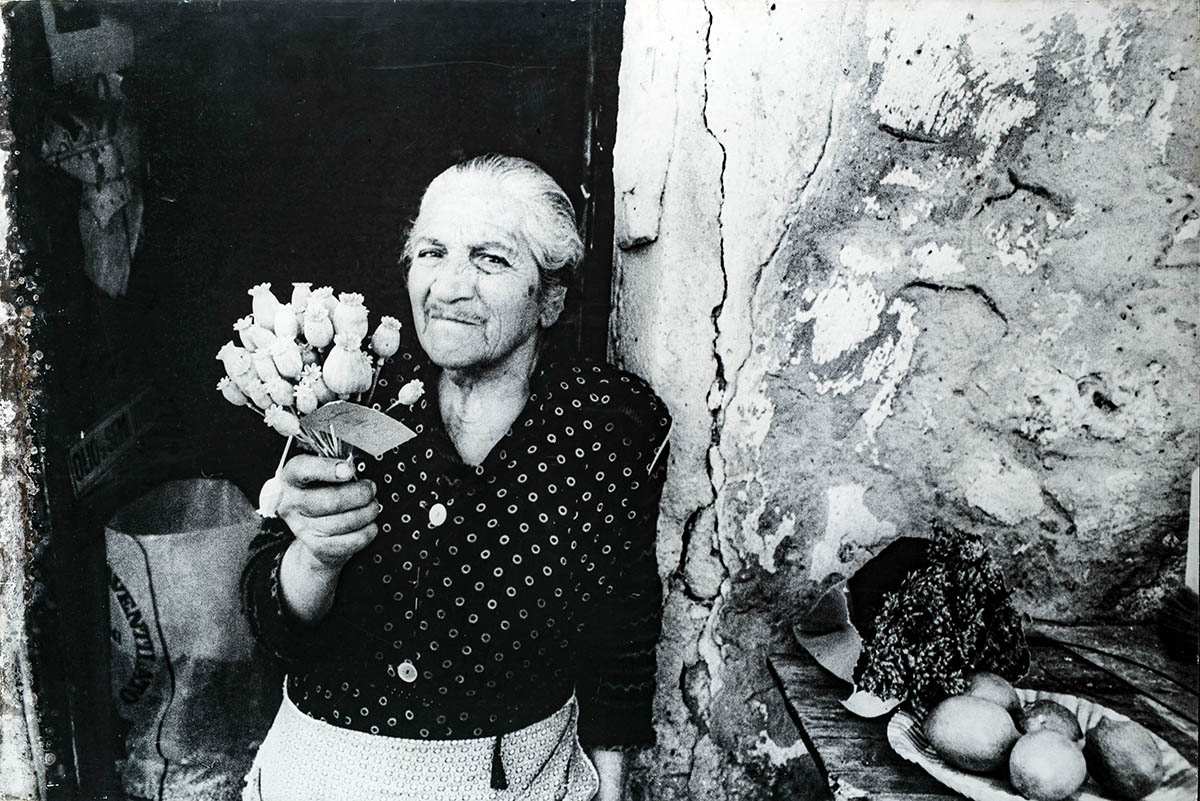 Fotografia, archeologia, natura e memorie. La bellezza nel Museo di Petralia Sottana