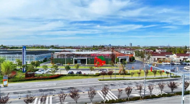 La “dolce tempesta” dell’International strawberry symposium. In Cina un hub all’avanguardia per la coltivazione delle fragole