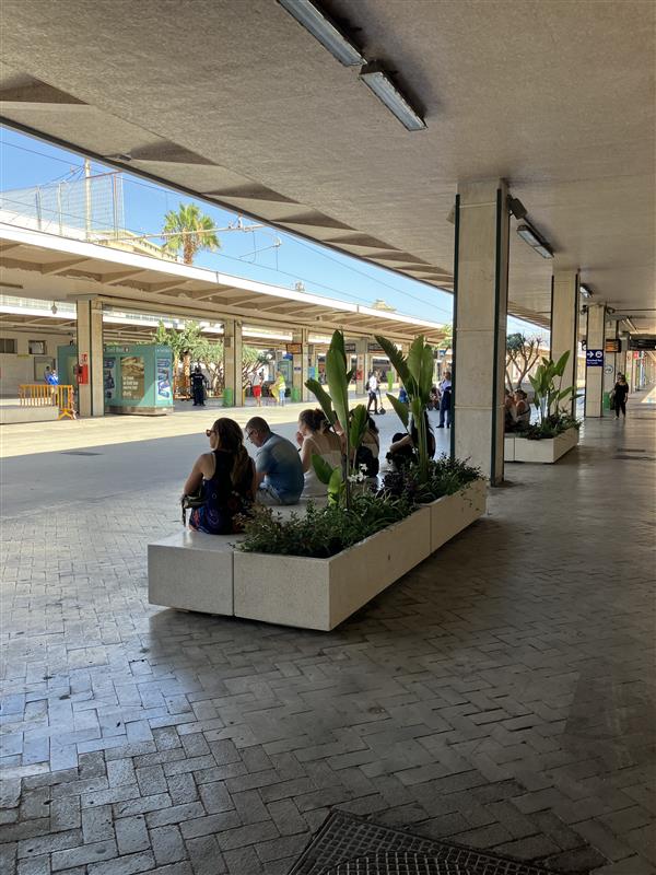 FOTO | Ecco come sarà la nuova stazione centrale di Palermo: i lavori e il restauro degli affreschi FOTO | Ecco come sarà la nuova stazione centrale di Palermo: i lavori e il restauro degli affreschi