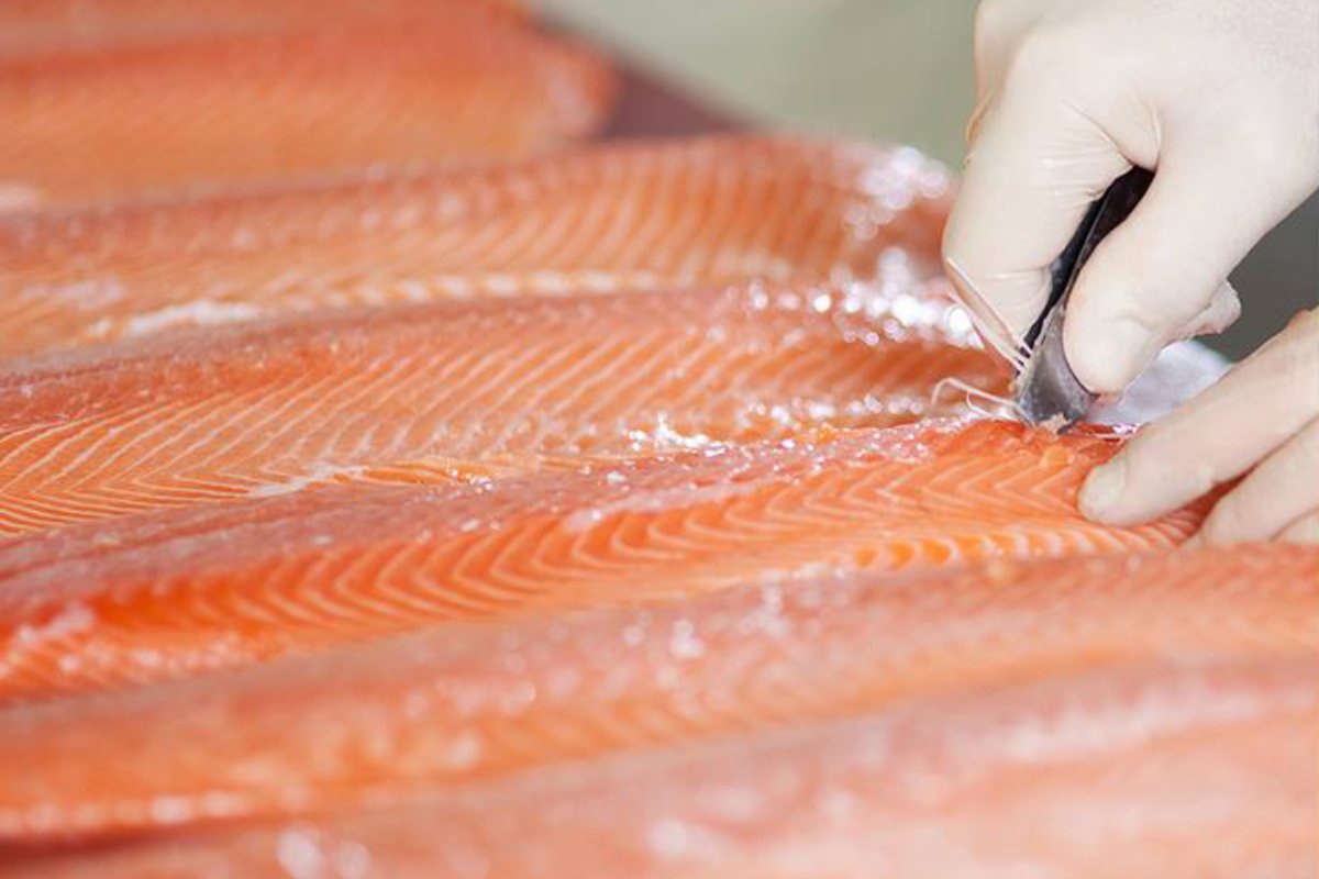 Mangia il salmone affumicato e finisce in coma: “Adesso l’assicurazione neanche paga”