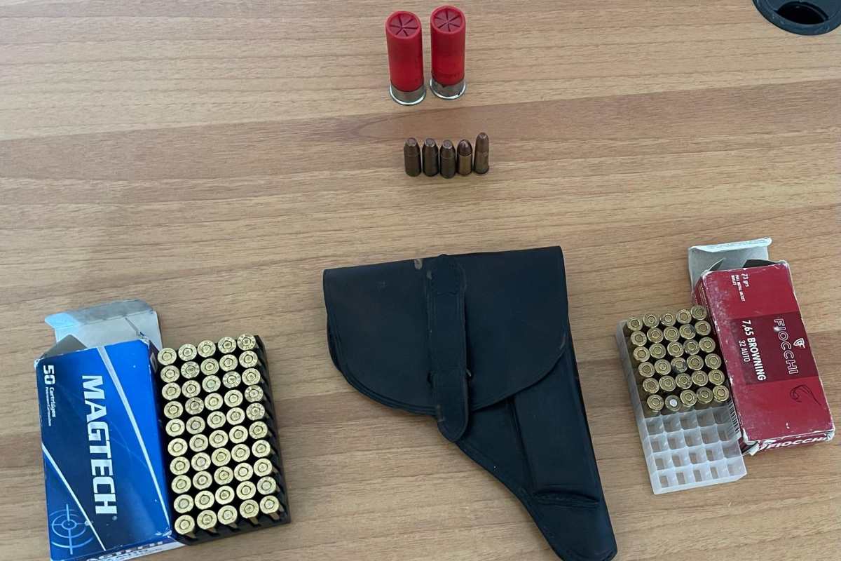 Armi, munizioni e una katana: denunciate 4 persone a Montedoro