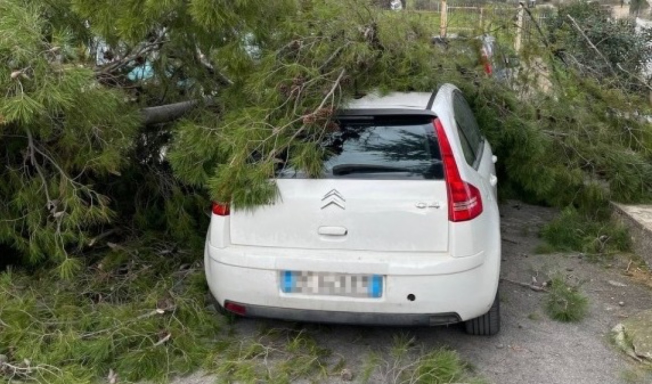 Vento micidiale in Sicilia, danni e allerta fino a sabato 15 marzo: “Uscite solo se è necessario”