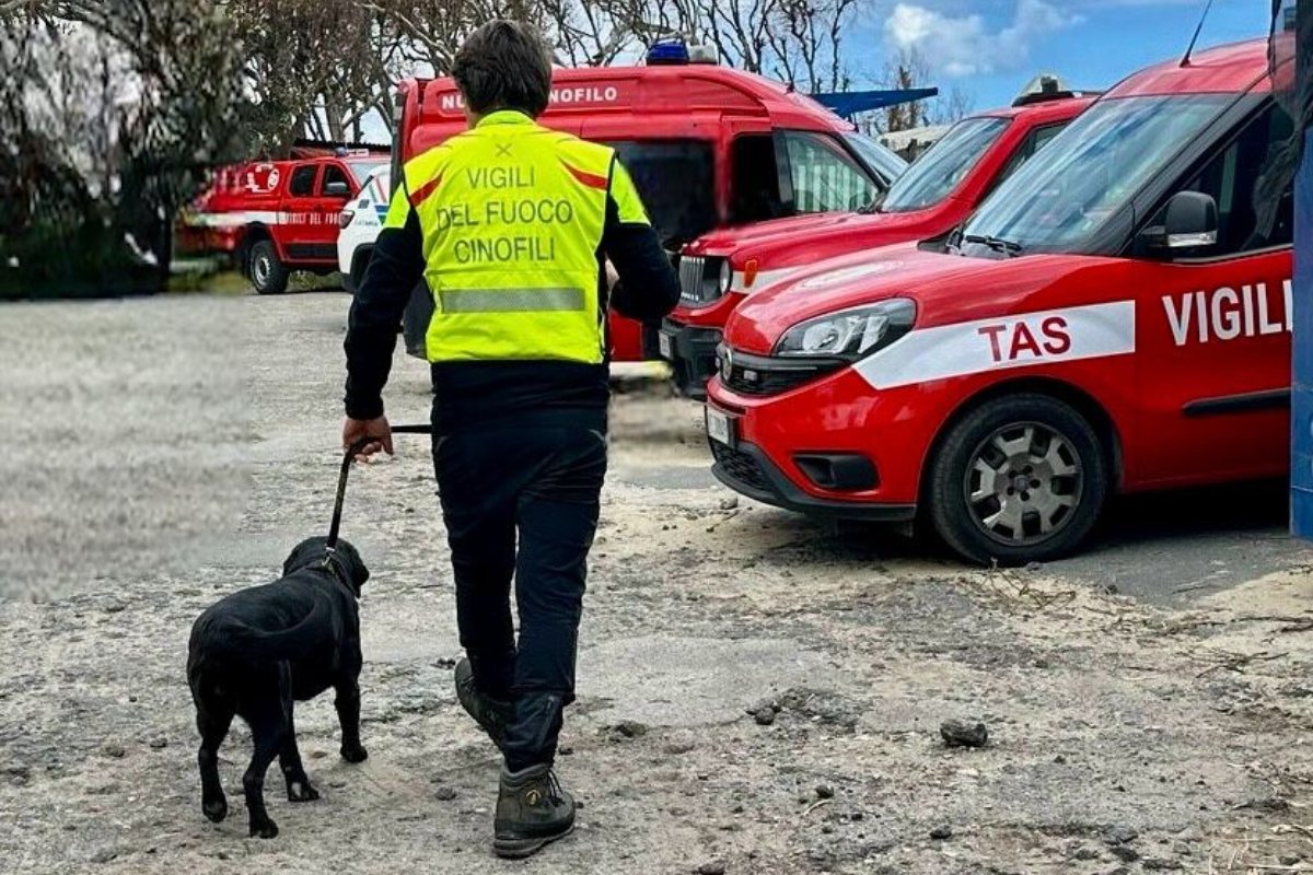 Galleria foto 'Catania, Andrea Di Mauro ritrovato morto nei pressi di viale Kennedy: decisivo l’intervento dei cinofili' - foto 1