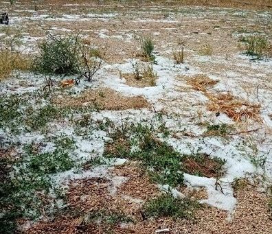 Grandinata in provincia di Lecce, perse patate e altre verdure