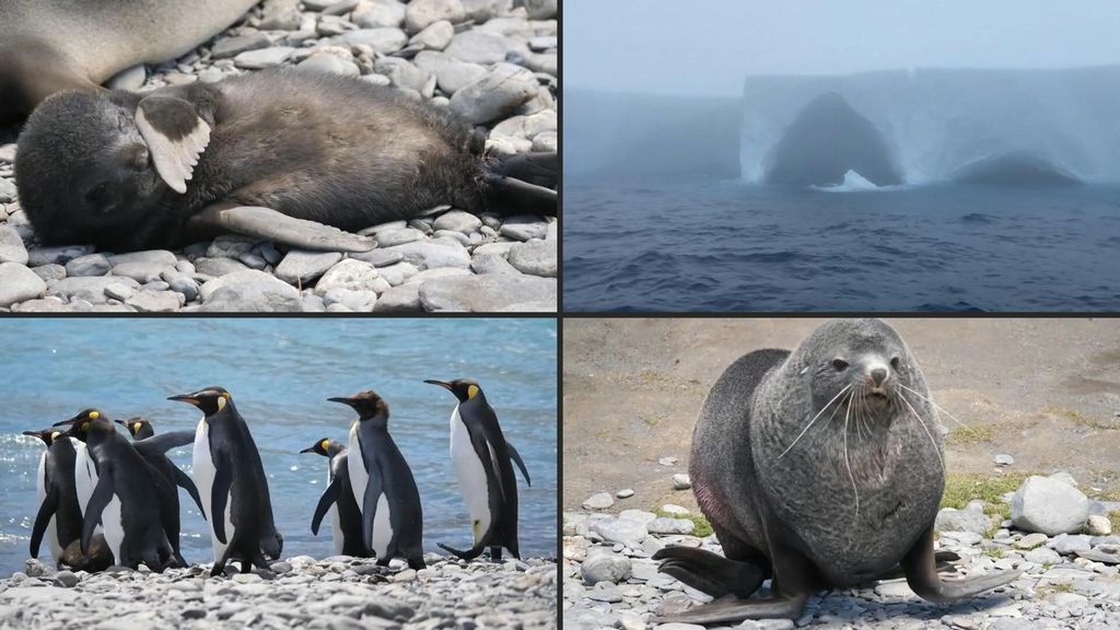 Milei auspica che gli abitanti delle Malvine vogliano essere argentini