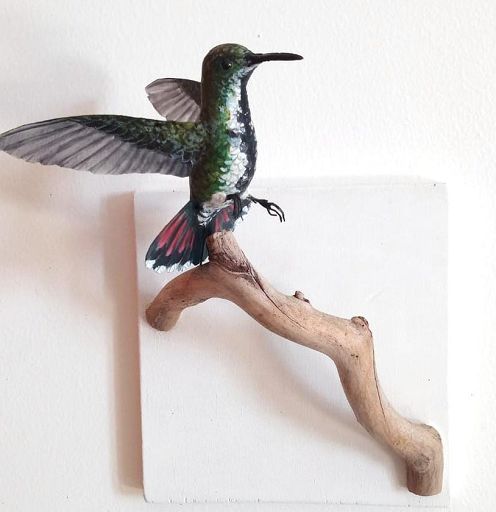 Mostre, a Roma “Echi di Terra – forme al confine”