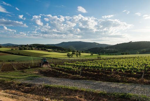 Umbria Top porta a Vinitaly 56 Cantine e il progetto “Radici”