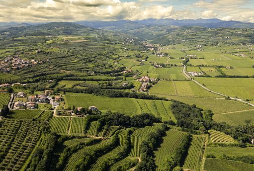 Vino, Vignaioli Valle di Mezzane: aggregazione antidoto alla crisi