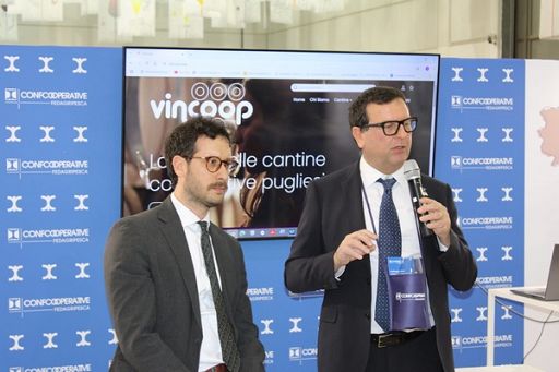 Ecco Vincoop, marketplace cantine sociale pugliesi Confcooperative