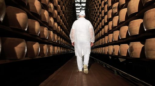 Lactalis Italia: con dazi Usa rallentamento soprattutto per formaggi duri