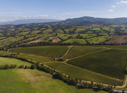 Doc Maremma Toscana: a Vinitaly grandi riscontri da buyer e operatori