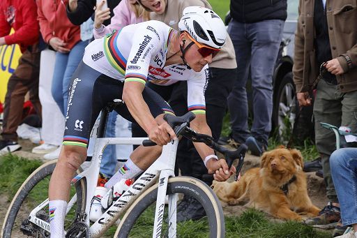 Ciclismo, Mathieu van der Poel vince la Parigi Roubaix. Pogacar cade
