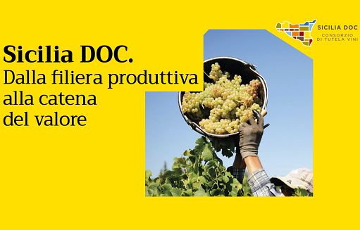 UniCredit-Nomisma: nel 2024 bianchi Dop siciliani cresciuti dell’8,9%