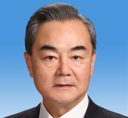 Cina: con dazi Usa vogliono la legge della giungla Cina: con dazi Usa vogliono la legge della giungla