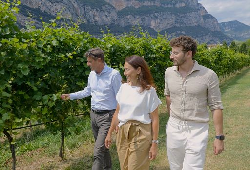 Albino Armani lancia “Foja Zicolà”, vino che riscrive la storia in rosa