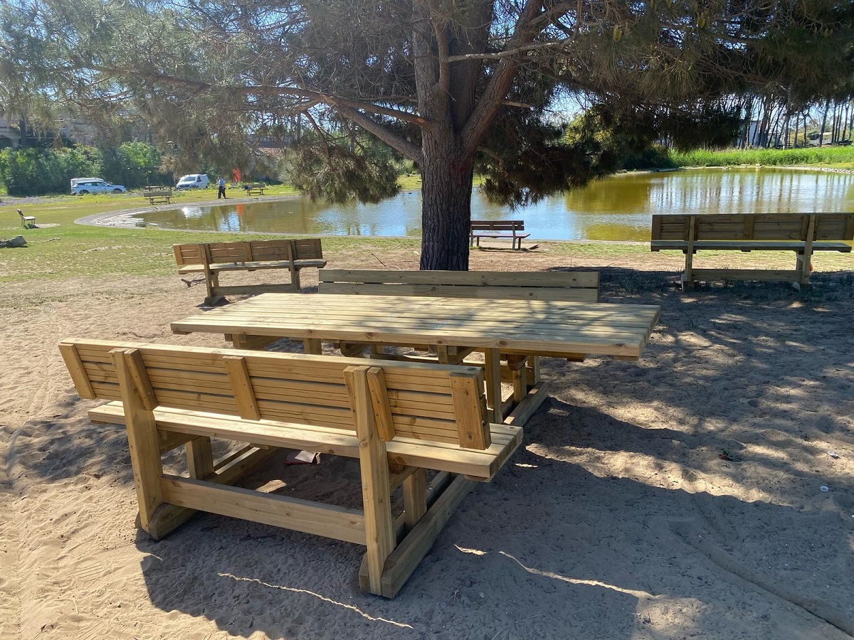 Il Boschetto della Plaia rinasce: completata la riqualificazione del polmone verde di Catania