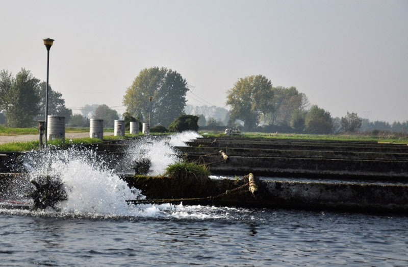 Acquacoltura, ultimi giorni per le domande