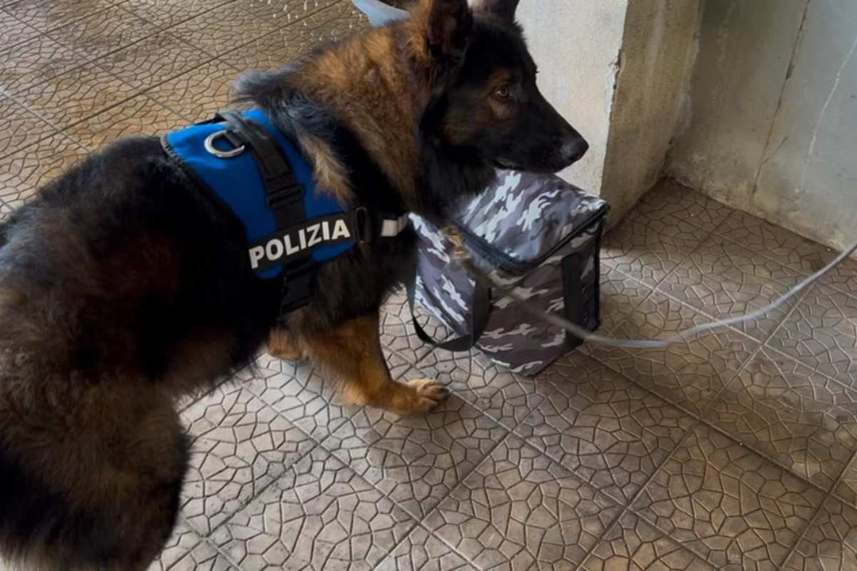 Market della droga in cantina a Zia Lisa, arrestato pusher a Catania