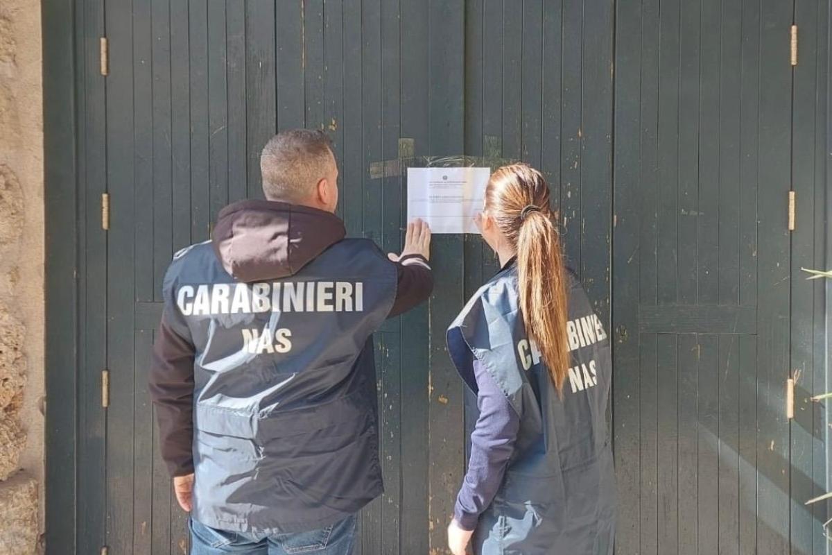 Sequestrato ristorante etnico abusivo a Palermo, sanzione da 200mila euro