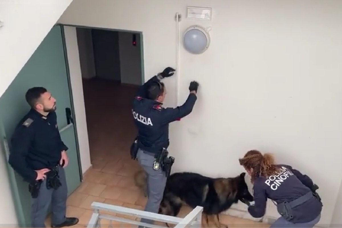 VIDEO | Marijuana nascosta in una plafoniera in pianerottolo: sequestro di droga a Librino
