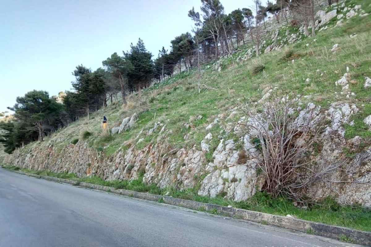 In gara i lavori sulla SP1 a Montelepre, Schifani “Manteniamo l’impegno preso con il comprensorio”