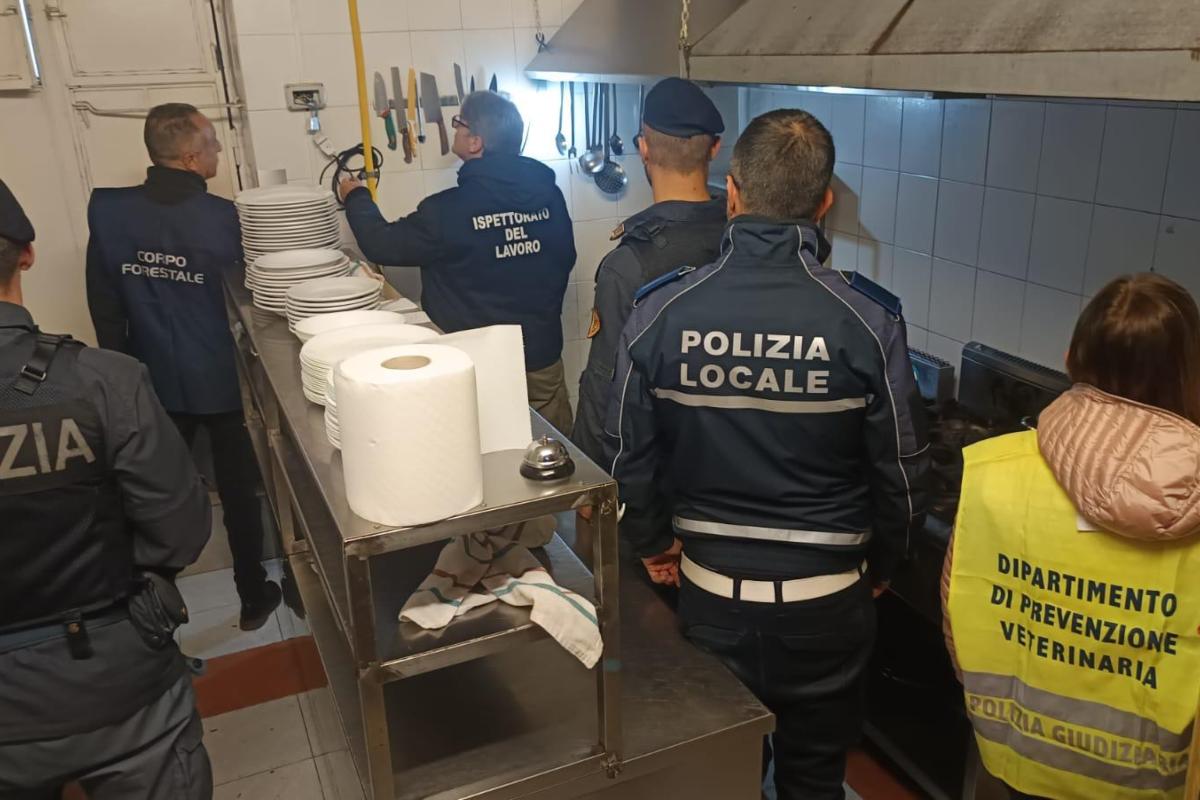 VIDEO | Furto di energia elettrica, attività di spaccio e sequestri di alimenti: i controlli a San Cristoforo