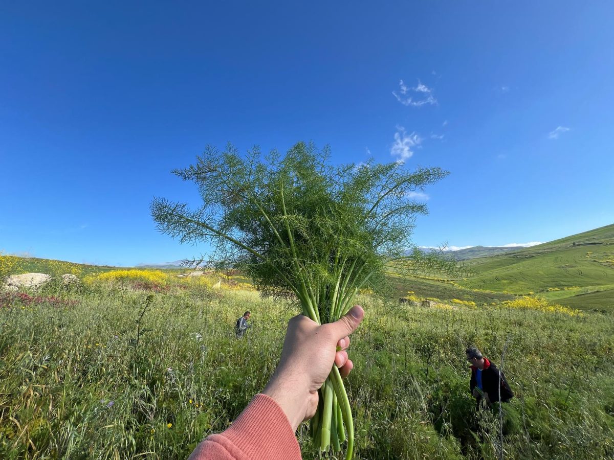 Tutto pronto per l’edizione 2025 della sagra di Blufi: ospiti d’eccezione I Badaboom