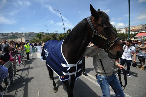 Ippica, è morto Enzo Giordano, il proprietario di Varenne