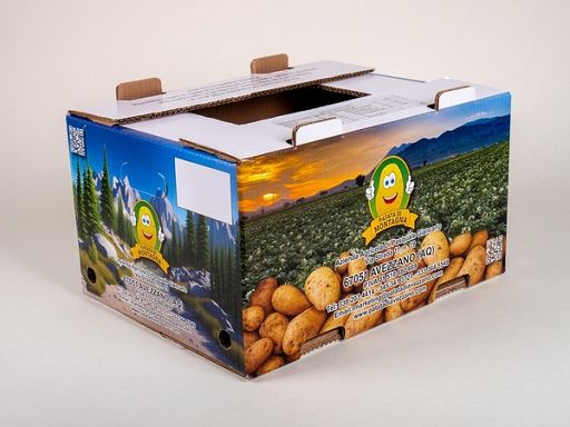 A Macfrut Pro-gest presenta imballaggi sostenibili ortofrutta