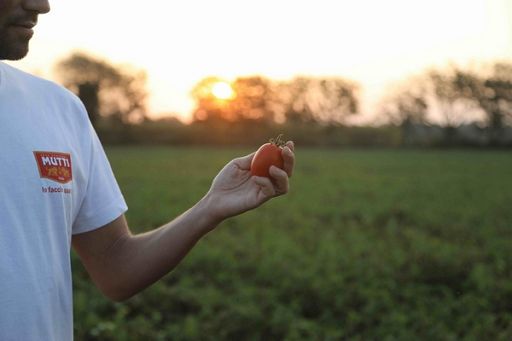 Mutti chiude 2024 con +13% fatturato e apre Mutti Poland