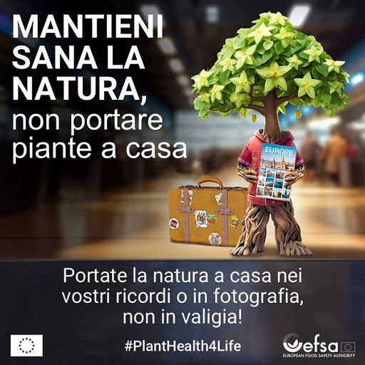 Efsa lancia III edizione di #PlantHealth4Life per salute piante