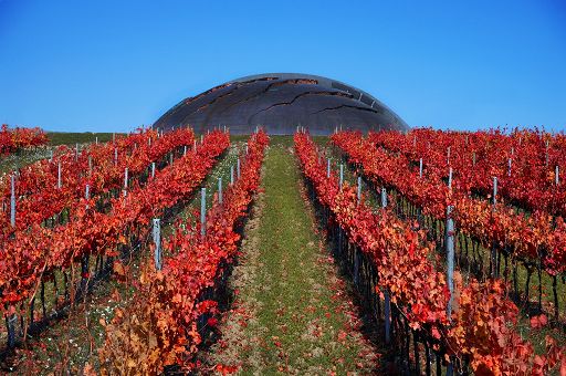 Vino, 20 anni di Carapace: Tenute Lunelli celebrano visione di Pomodoro