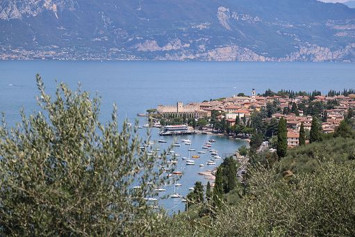 Il 17 e 18 maggio a Torri del Benaco c’è la “Festa dell’Olio”