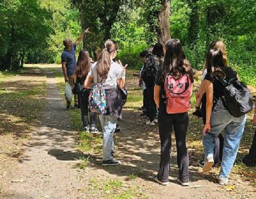 Da novembre 2024 aggiunti 8.500 alberi nelle Oasi del Wwf