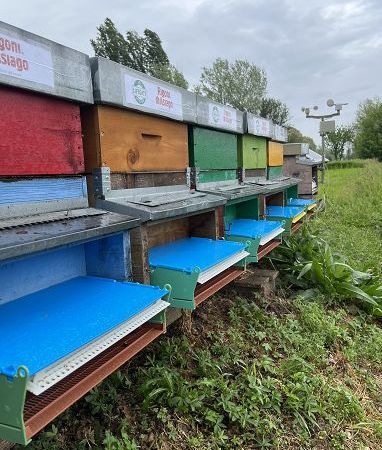 Rigoni di Asiago adotta sei arnie del progetto Bee my future di Lifegate