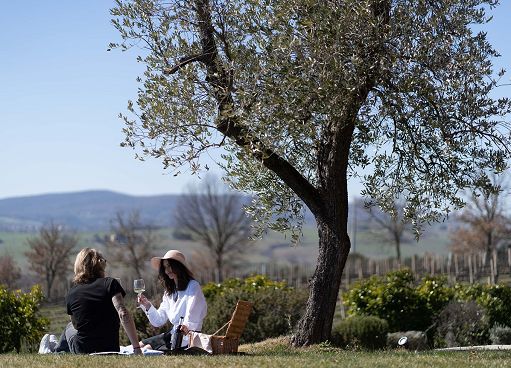 Mtv Umbria: 44 Cantine accoglieranno i visitatori il 24 e 25 maggio