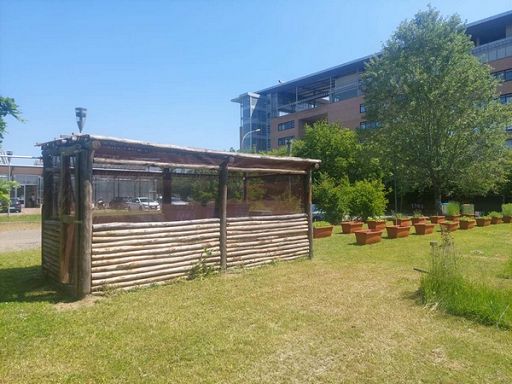 Nasce il nuovo apiario dell’università di Bologna